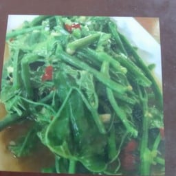 ผัดยอดมะระไฟแดง