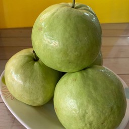 ฝร่ังแป้นโลละ