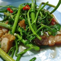 ผัดกระเฉดหมูกรอบ