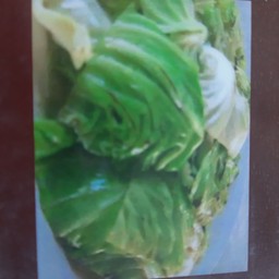 ผัดกล่ำปลีทอดน้ำปลา