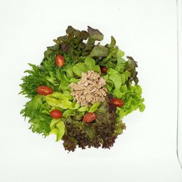 VIVID, Salad from Factory
