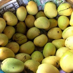 วัดสวนแก้วผลไม้ตามฤดูกาล