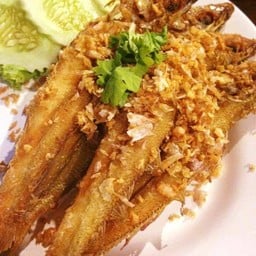 ปลาเห็ดโคนทอดกะเทียม
