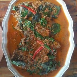 ฉู่ฉี่ปลาหมอไท