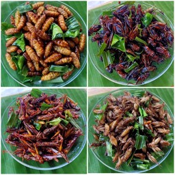 รวมมิตร