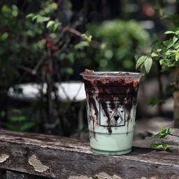 โกโก้มิ้นท์