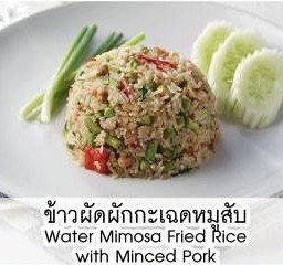 ข้าวผัดผักกะเฉดหมูสับ