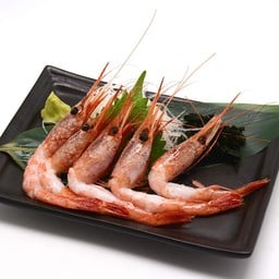 AMAEBI SASHIMI
