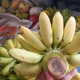 ผลไม้
