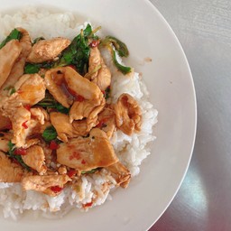 ข้าวราดผัดกะเพรา ไก่