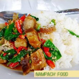 ข้าว+กระเพราหมูกรอบ
