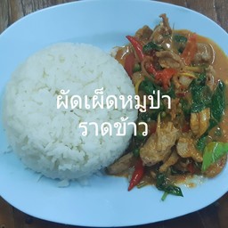 ผัดเผ็ดหมูป่าราดข้าว