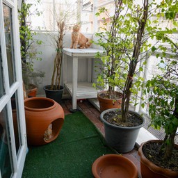 วิวสวน​ สำหรับส่องนกและธรรมชาติ