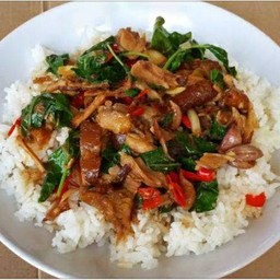 ข้าวขาหมูผัดกะเพรา