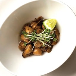 หอยนางรม