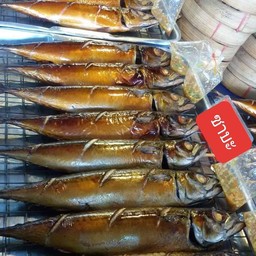 ปลาซาบะไซด์กลาง