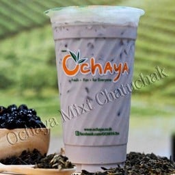 ชานมเผือก (TARO MILK TEA)