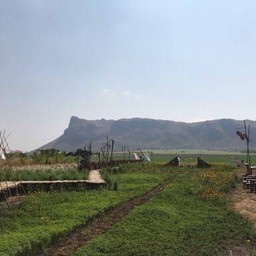 ร้านบ้านคุณฟ้า