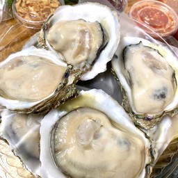 หอยนางรมไซด์ XL