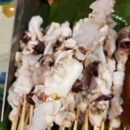 ปลาหมึก