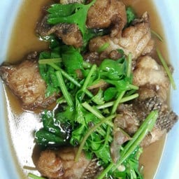 ปลาเก๋าผัดคึ่นฉ่าย