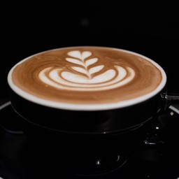 CHOCOLATE (HOT)