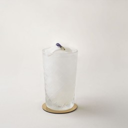 มะพร้าว ( ปั่น )