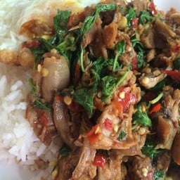 ข้าวกะเพราเป็ด