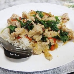 ผัดกะเพราหมูราดข้าว