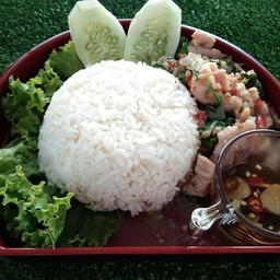 ผัดกระเพราหมูนุ่มราดข้าว