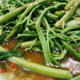 ผัดกระเฉดไฟแดง