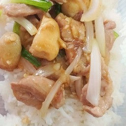 ข้าวราดผัดน้ำมันหอย หมู
