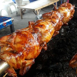 วีระพันธ์ไก่หมุนหมักน้ำผึ้ง  ประชาอุทิศ 79