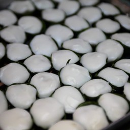 ตะโก้ นันทานางเลิ้ง