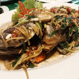 ปลาผัดขิง