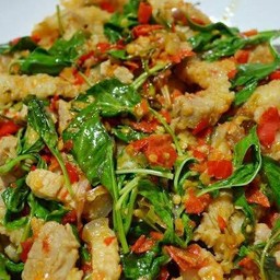 ผัดโหระพา ราดข้าว