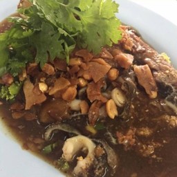 ยำเนื้อไหหลำ 240