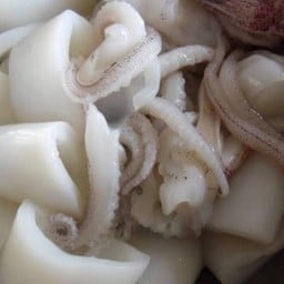 หมึกสด