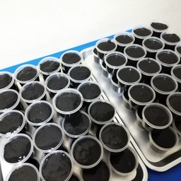 เปียกปูนกาบมะพร้าว