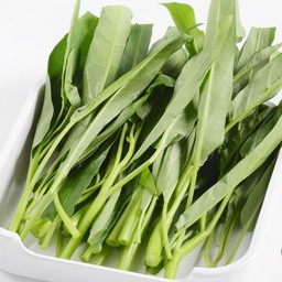 ผักบุ้ง