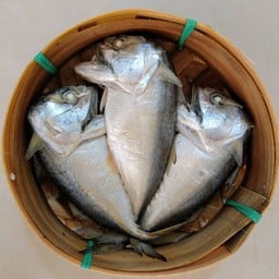 นายต้นปลาทูนึ่ง