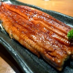 ปลาไหลซาชิมิ