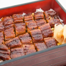 ข้าวหน้าปลาไหล