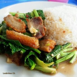 คะน้าหมูกรอบราดข้าว