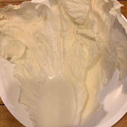 ผักกาดขาว