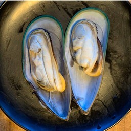 หอยแมลงภู่นิวซีแลนด์