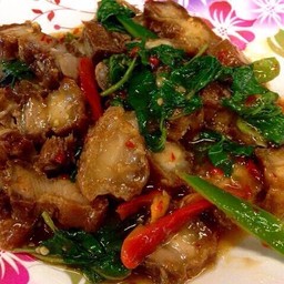 เมนูหมูกรอบผัดใบกระเพรากรอบ ราคา