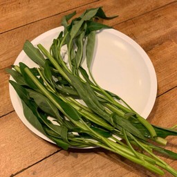 ผักบุ้ง