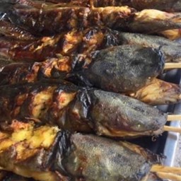 ปลาดุกย่าง