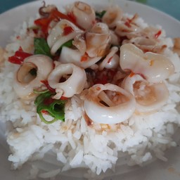 กระเพาปลาหมึก